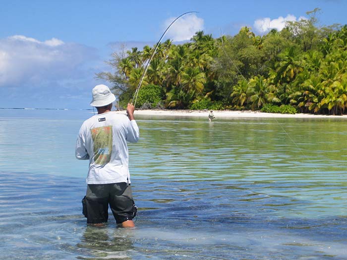 There were lots of sharks and when prodded with a fly rod one turned round and bit the end off the tip section.