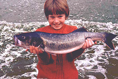 Richard's my 'fishing son'. Some of my grandchildren may have the 'bug'.