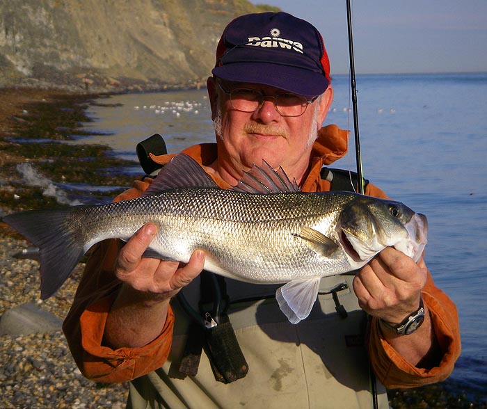 A fine fat bass landed on Nigel's fly gear from the shore.  Note the maggot-feeding gulls behind him.