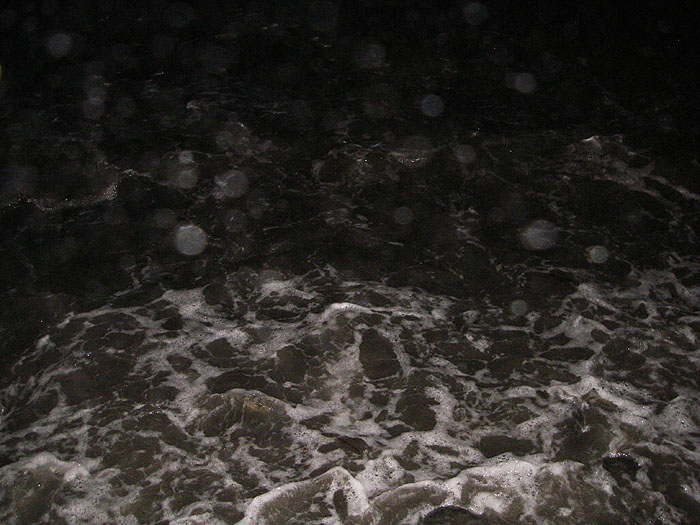 The mullet were right in the surf.  I tried to get a picture in the dark but it wasn't really possible.  There are probably twenty feeding fish in the picture but it's hard to see even one.