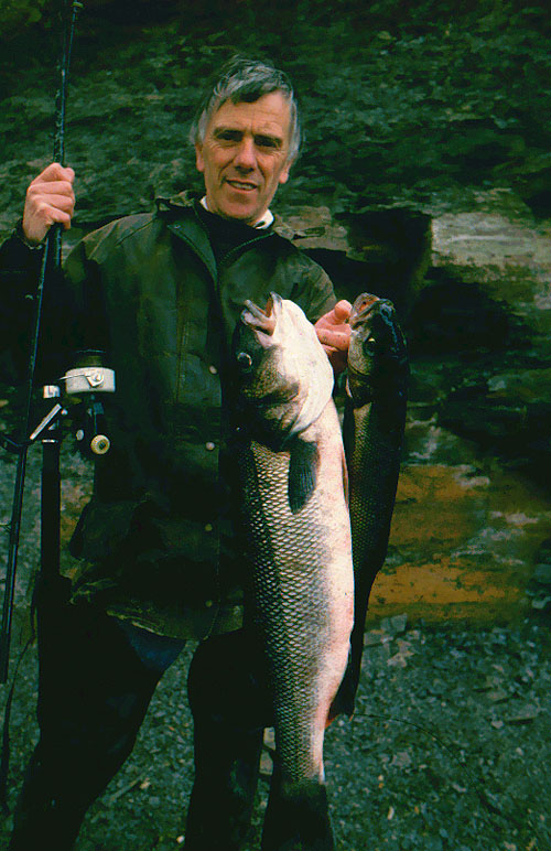 This was in the days when I used to keep a few fish.  Note the old Cardinal reel - more than a match for these bass.