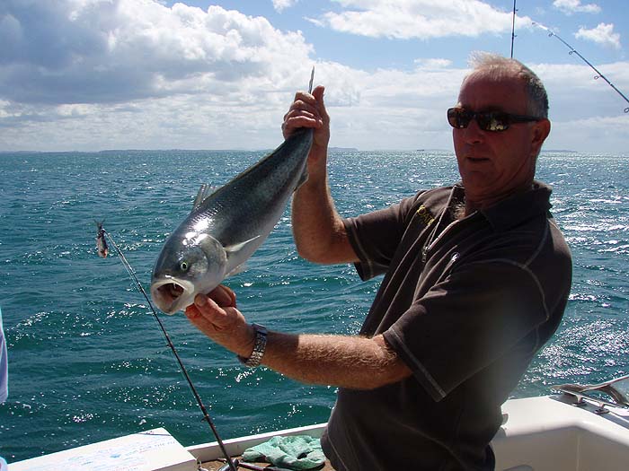 These are wonderful fish and obviously fight like hell.  It sounds as though they may also be good kingfish baits.