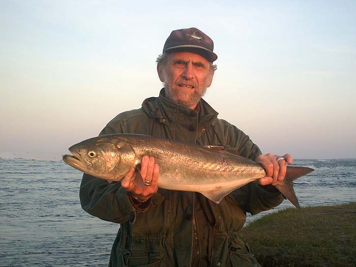 Alan Vaughan with one of the good bluefish that he caught.  This one in daylight.