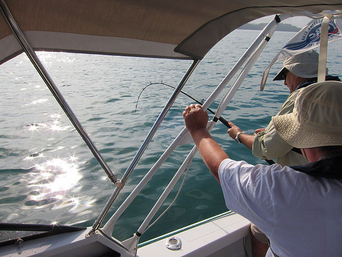 Alan wrestles with the big kingfish.  If they are anything like other jacks they're bound to be a handful.