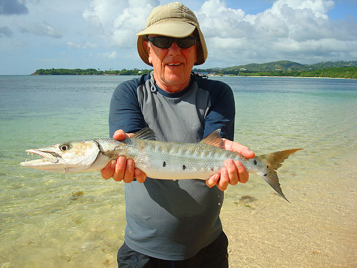 Another, slightly better, barracuda from the flats.  This one did a few cartwheels while being played.