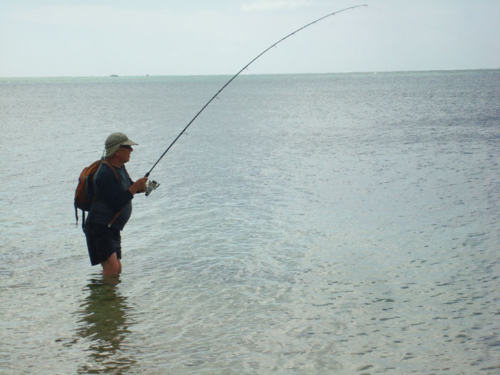 A good bonefish sets off for the horizon.  Within seconds the little 4SureSpin rod would be bent double.