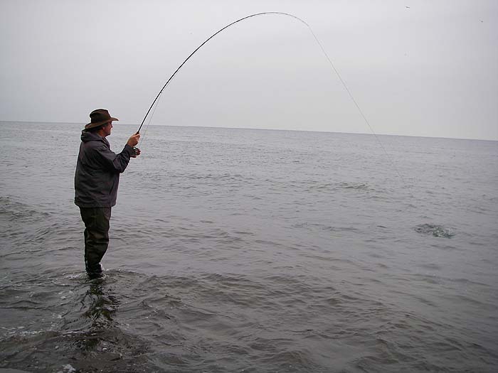 The fish boils on the surface as it makes another bid for feedom.