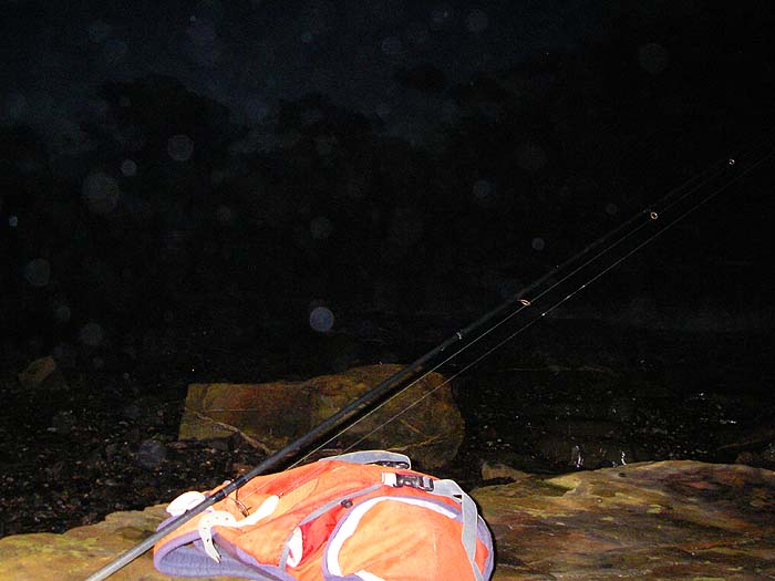 We tried in 2009 but obviously we didn't catch a bass.  This was the morning that I broke my rod.