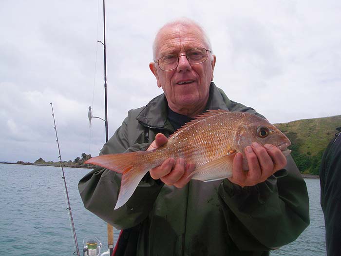 This was my first ever snapper - taken on a piece of squid.  They proved easy to catch but were mostly small.