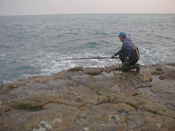 Adrian found it easy to pole fish from the rocky platform.  He's determined to have another go.