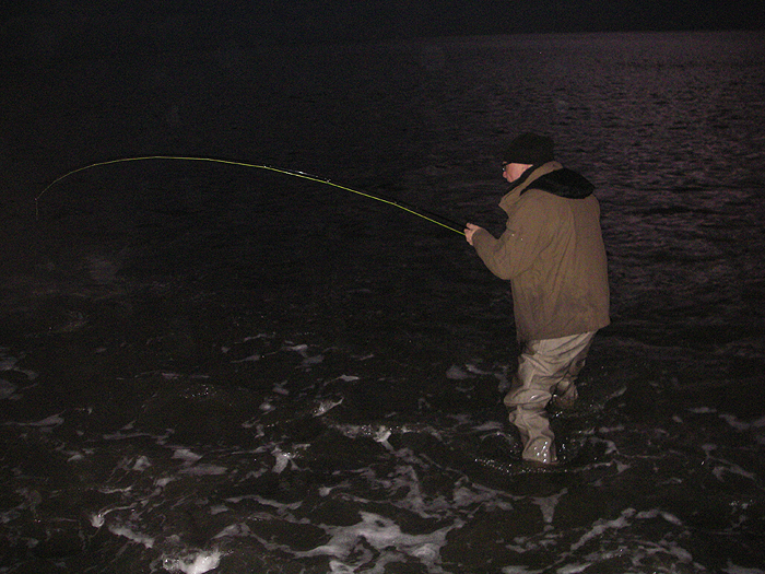 Away it goes again as the reel spins and the fly line zips out.