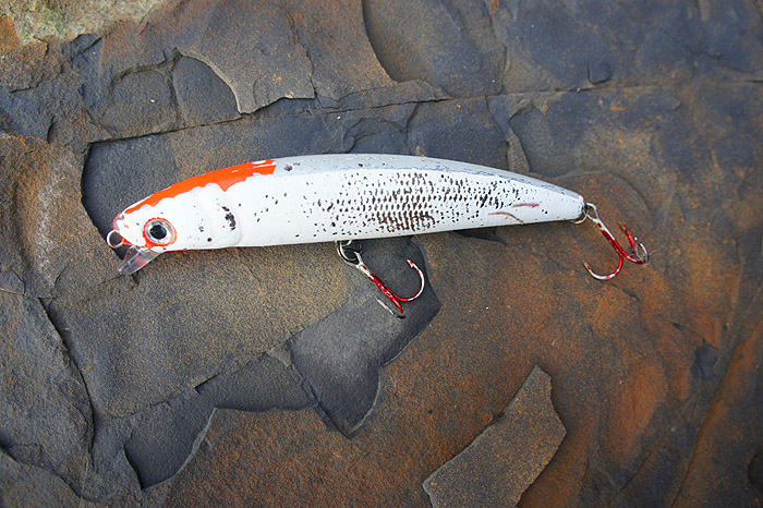 Not a total failure - Bill picked up this lure on his travels.