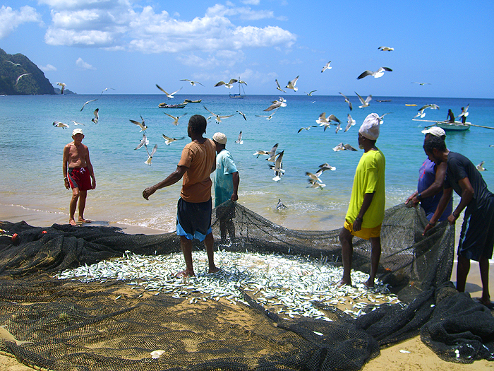 Most local beaches have one or two seines which are used by the locals.