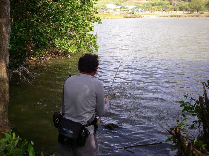 Steve playing a small tarpon in 'our' lagoon.  They all pulled the string a bit and jumped a lot.