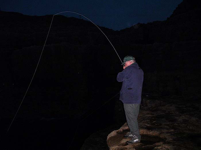 Nigel's fly rod bends into an early morning pollack.  It's still pretty dark.