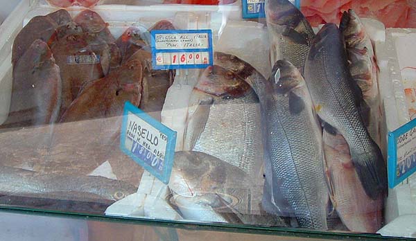 Sole, bass and gilthead bream on the slab - sorry about the reflection off the glass.