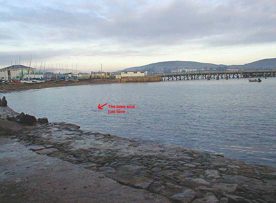 The flat calm water between the pier and the lifeboat slipway produced a fish second cast.