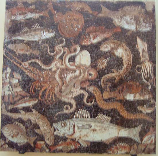 My picture is a bit fuzzy (perhaps not surprising after 2000 years).  Clearly the fishermen of Pompeii caught dogfish, electric ray, bass, gilthead, squid, octopus, gurnard,etc. etc.