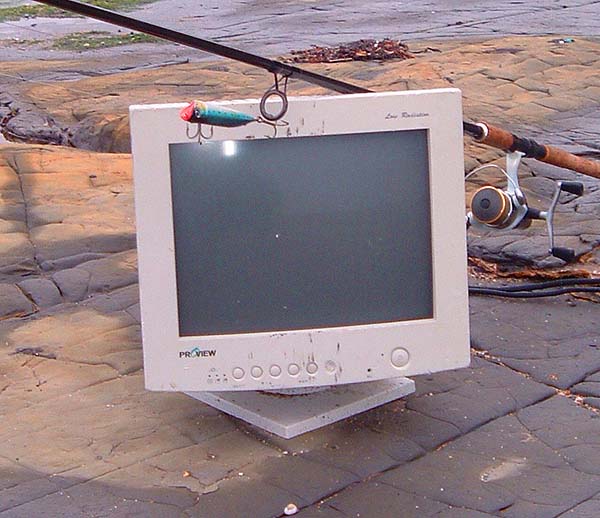 It used to be just plastic bottles and bits of old netting on the beach - now it's computers.  Do monitors float?