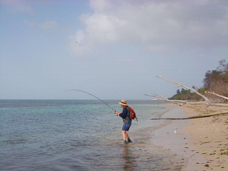 A good bonefish hooked in the margin powers away on yet another run - amazing!