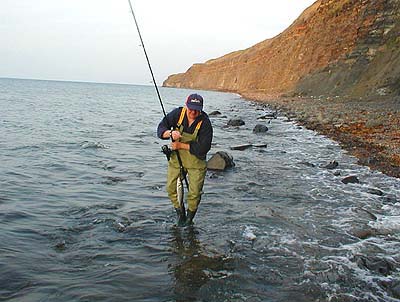 Small fish like this can be lifted on the plug, unhooked and popped back into the water.