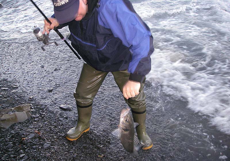 Nigel lifts his bass ashore to be unhooked and returned.