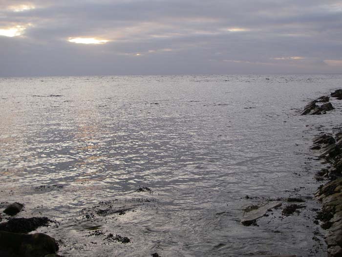The other morning it was calm and windless.  The sea seemed to be full of garfish and nothing else.