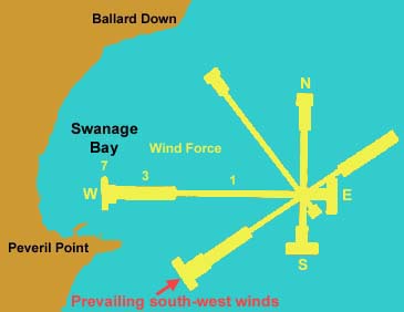Wind forces and directions at Swanage over a year.  East and south-east winds are infrequent but strong and often interfere with dinghy fishing for black bream in April and May.