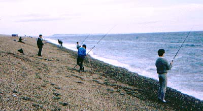 The Chesil beach - a popular venue for Dorset sea anglers.