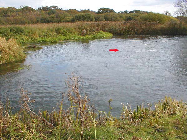 The red arrow shows where the fish took.  The water is about a metre deep and fairly turbulent with a gravel bed.  The tail of the pool is on the left.