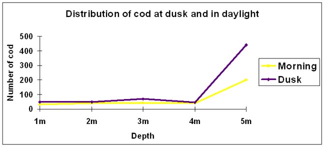 The time of day did not make much difference to cod movements.