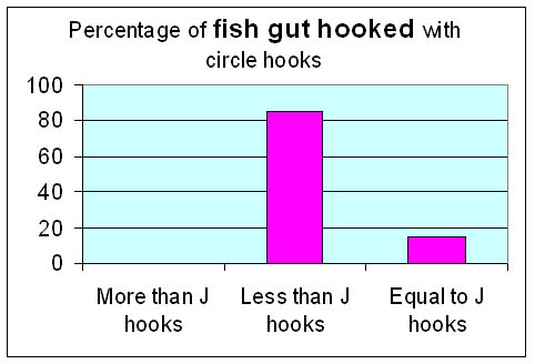 If they are fished properly far fewer fish are deeply hooked on circle hooks.