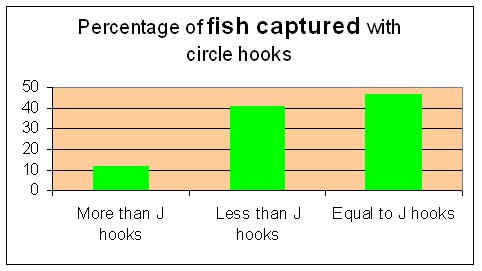 For some species circle hooks are less effective but for others they are MUCH BETTER.  Of course it also depends on using them properly