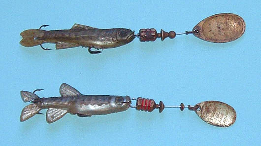 I first used these little lures to catch trout and jack pike.  They are pretty good for both but it was a surprise when they first caught flounders.