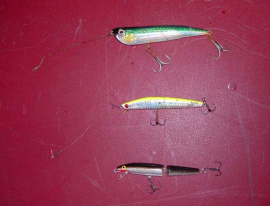 The top one is a popper and doesn't get below the surface.  the middle one is a very shallow diver (if a bit lurid for my taste) and very effective in shallow water.  The third is the old reliable J11F Rapala.