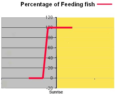 The red line shows how bait fish come out to feed BEFORE sun-up.