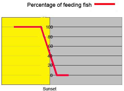 The red line shows how bait fish gradually wind down as the sun drops below the horizon.