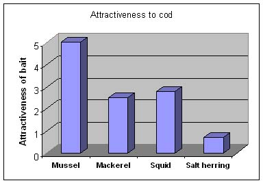 Mussel attracted most cod.