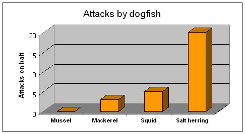 Dogfish strongly preferred salted herring bait.