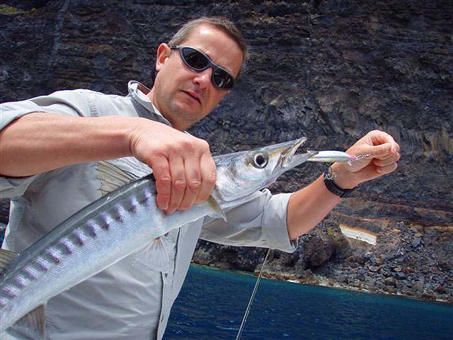 Not the 'great barracuda' that we catch in the West Indies but a neater more tidily marked species.