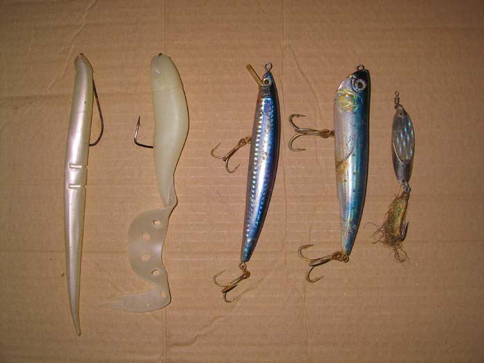 From right to left a wedge for distance fishing, a surface popper a long casting shallow diver and two soft plastics, the  one on the left rigged to hide the hook and be almost weedless.