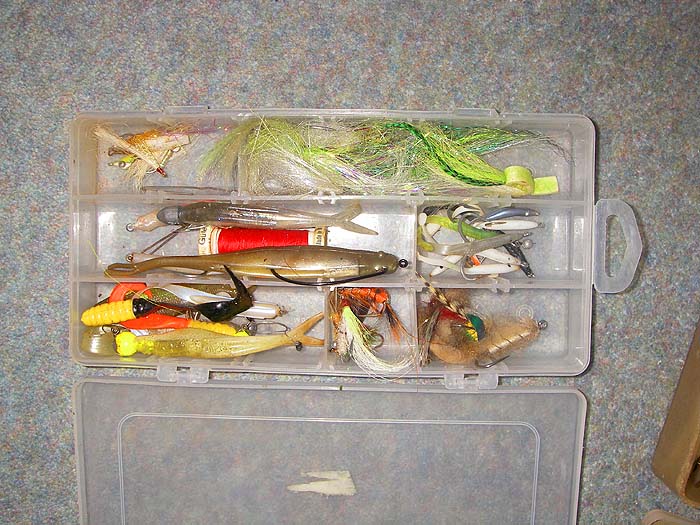 This is my box of small items. A mix of jigs and 'flies' in the broad sense of the term.
