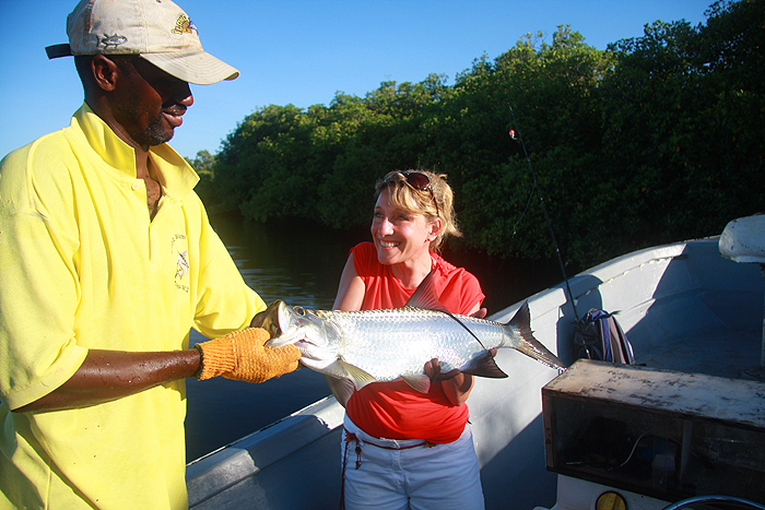 These are typical 'schoolie' tarpon and give fantastic sport.