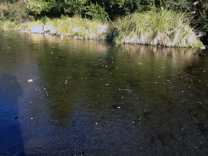 floating rocks could make fly fishing a little tricky.